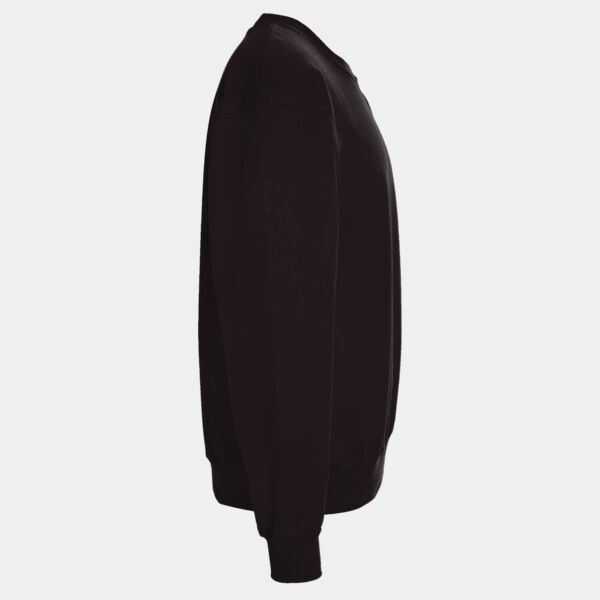 Sponge Fleece Raglan Crewneck Sweatshirt Thumbnail